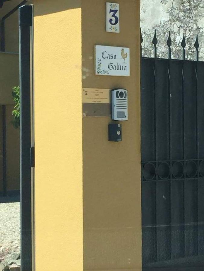 Villa Casa Galina Ciggiano Esterno foto